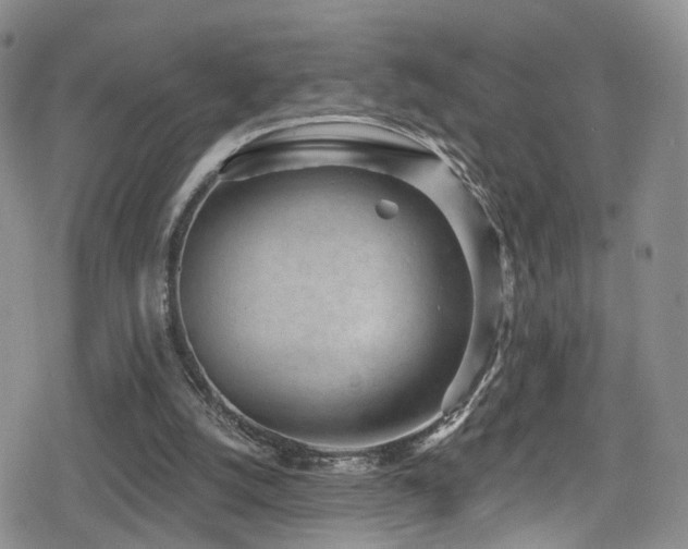 X0000080200056200612081437