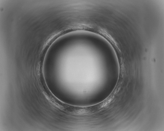 X0000080200058200612081437