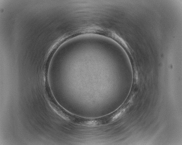 X0000080200059200612081437