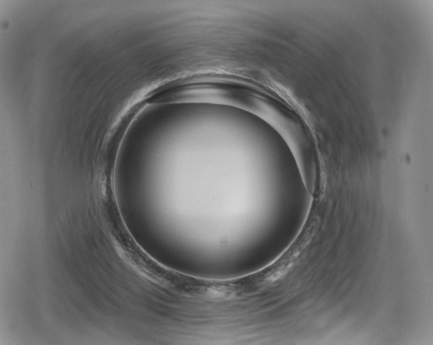 X0000080200060200612081437