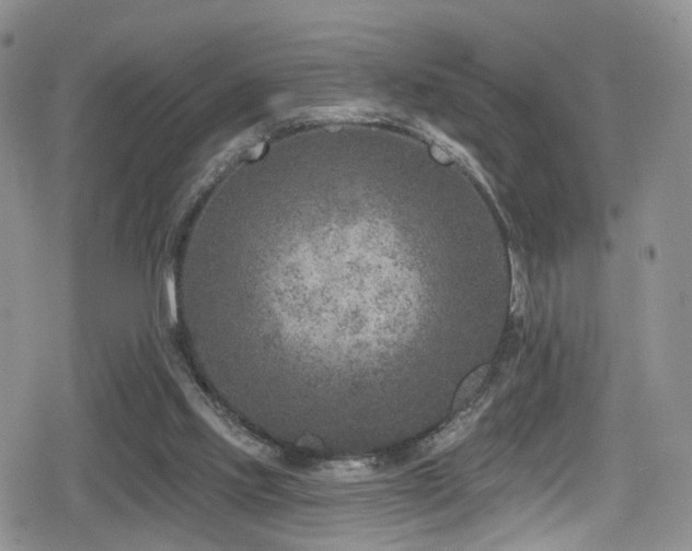 X0000080200061200612081438