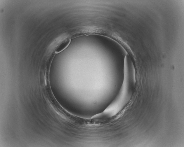 X0000080200062200612081438