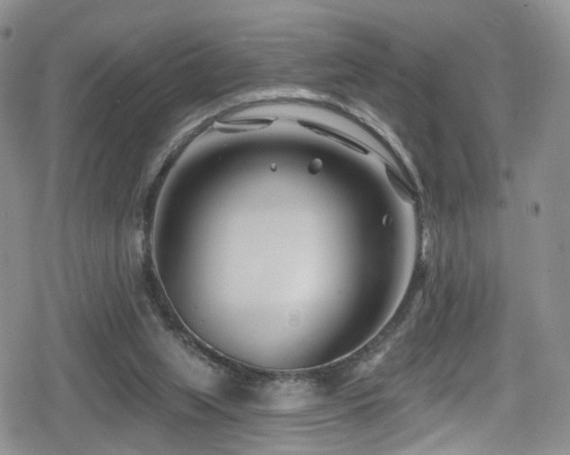 X0000080200063200612081438