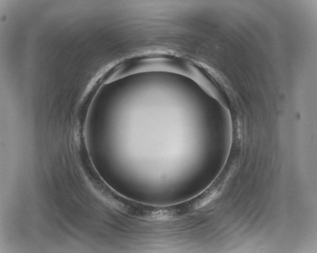 X0000080200064200612081438