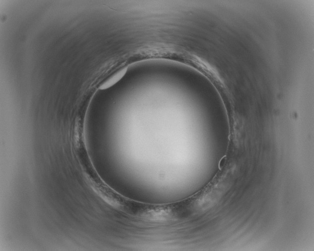 X0000080200065200612081438