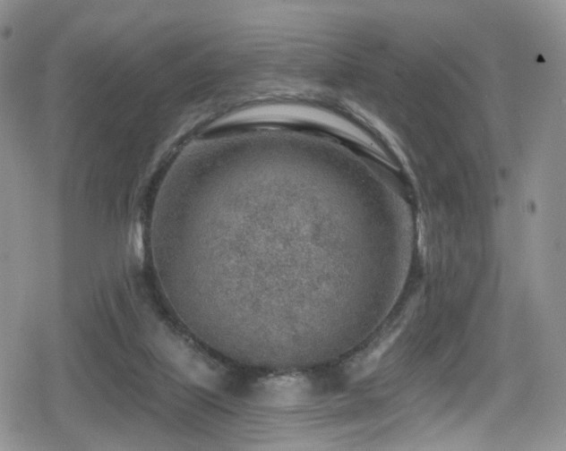 X0000080200067200612081438