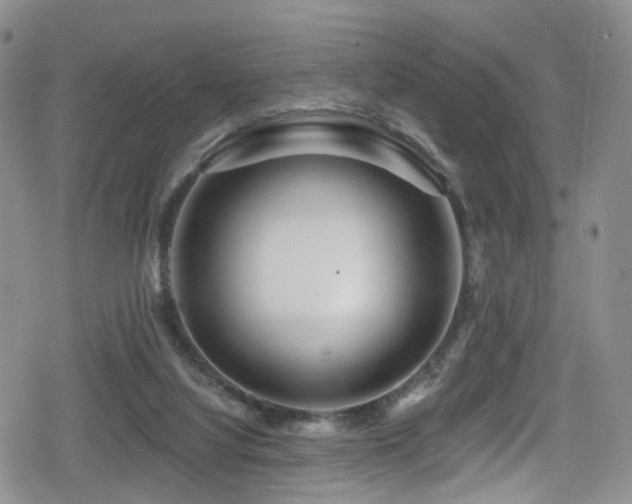 X0000080200068200612081438