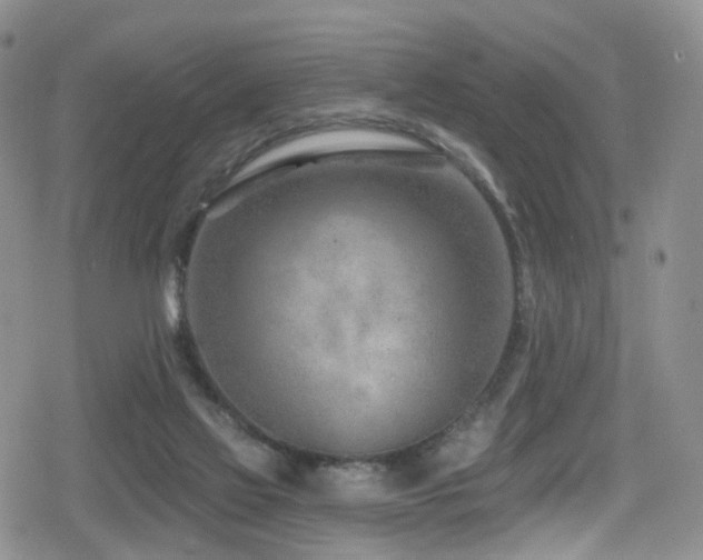 X0000080200069200612081438