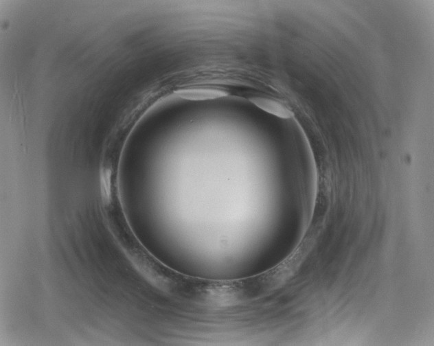 X0000080200070200612081438