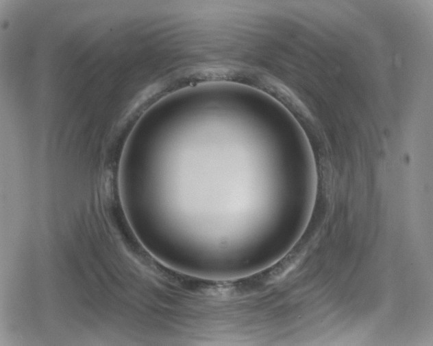 X0000080200071200612081438