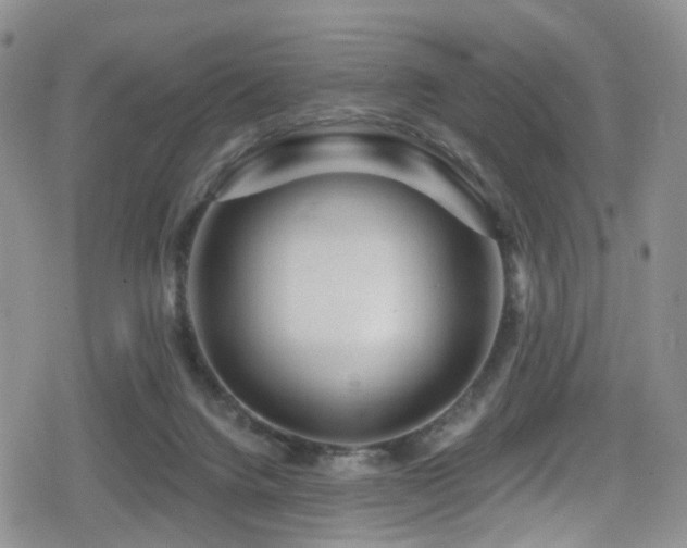 X0000080200072200612081438