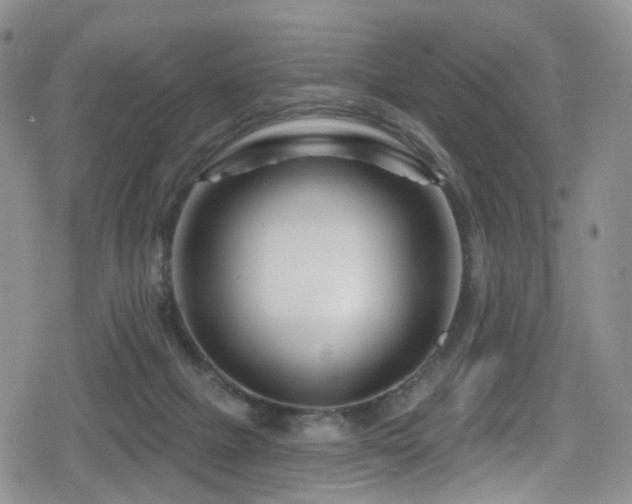 X0000080200073200612081438