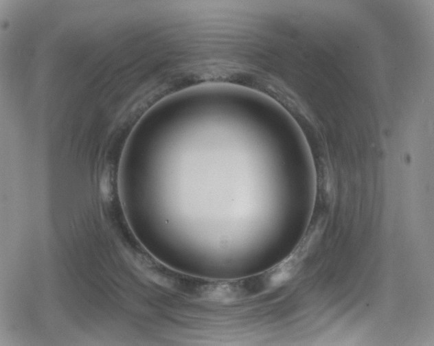 X0000080200074200612081438