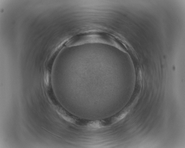 X0000080200076200612081438