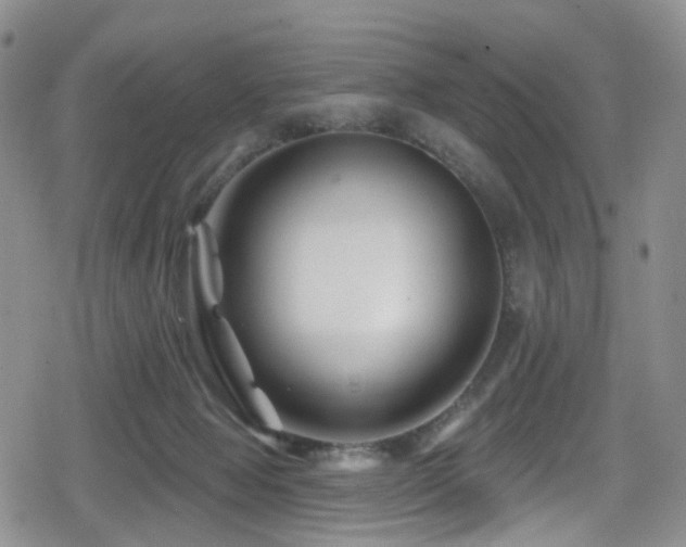 X0000080200077200612081438