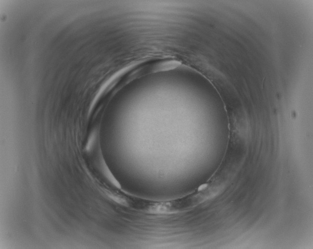 X0000080200080200612081438