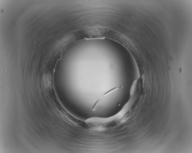 X0000080200081200612081438