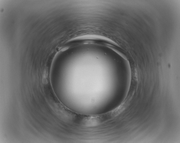 X0000080200082200612081438