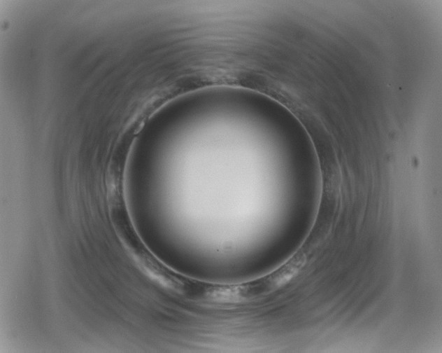 X0000080200084200612081438