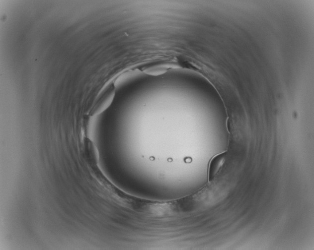 X0000080200085200612081438