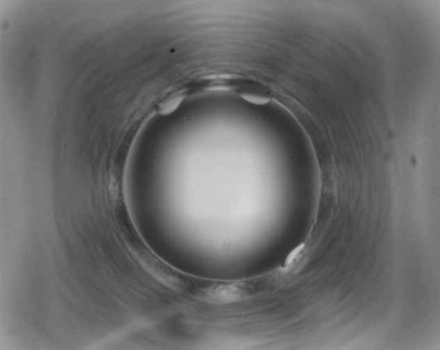 X0000080200086200612081438