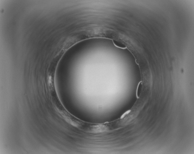 X0000080200087200612081438