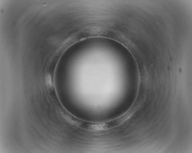 X0000080200089200612081438