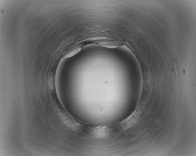 X0000080200090200612081438