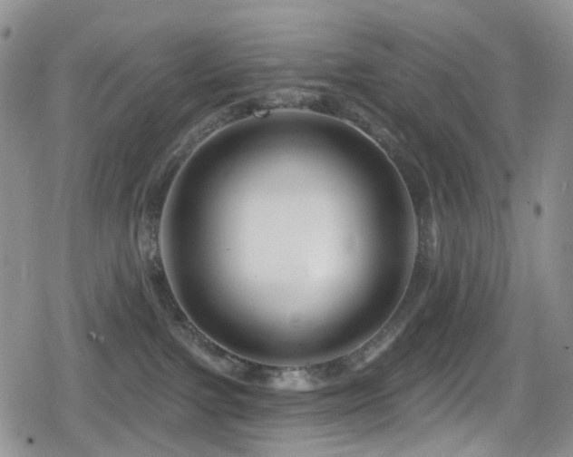 X0000080200091200612081438