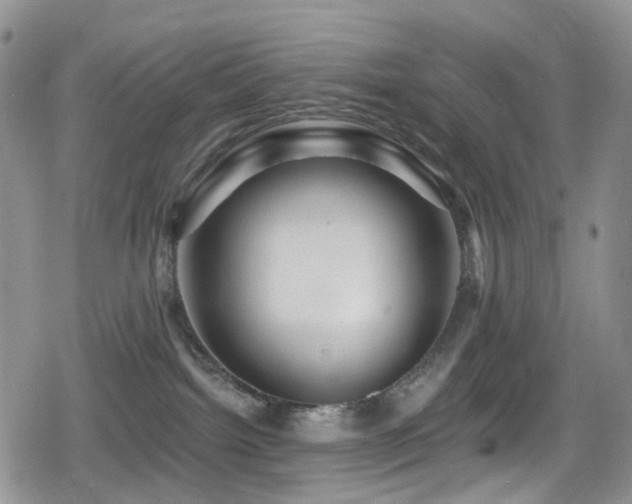 X0000080200092200612081438