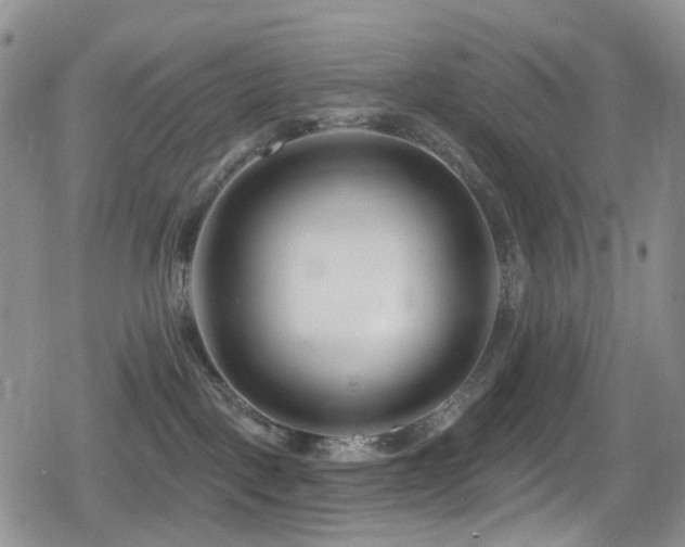 X0000080200093200612081438