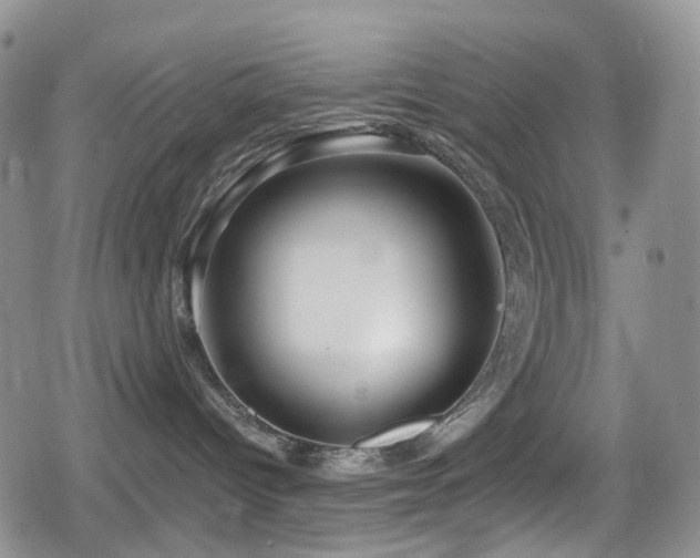 X0000080200096200612081438