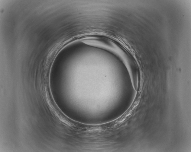 X0000080200097200612081437