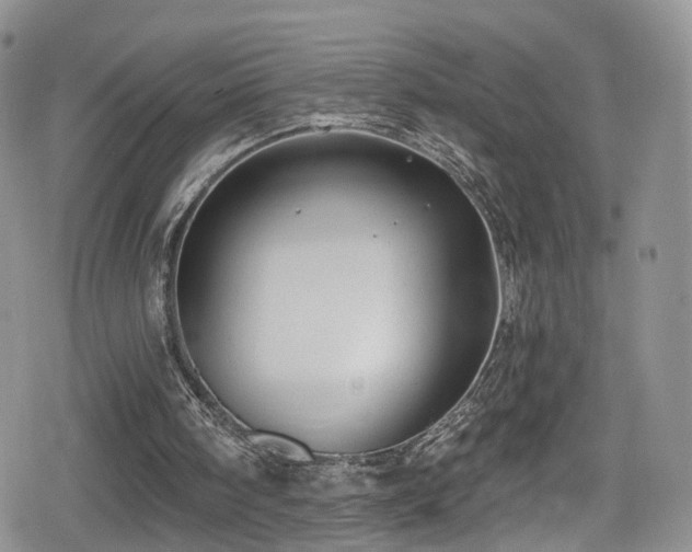 X0000080200098200612081437