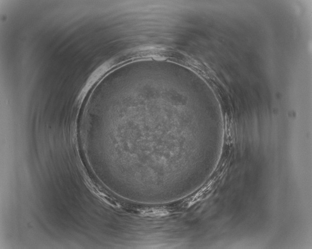 X0000080200099200612081437