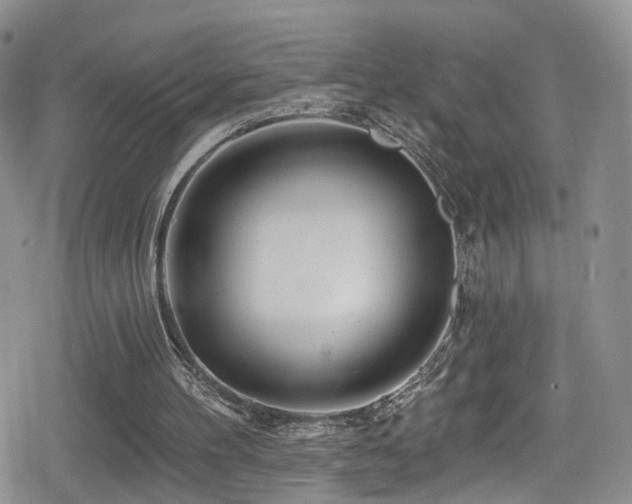 X0000080200100200612081437