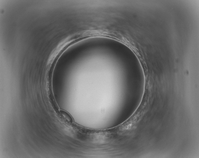 X0000080200103200612081437