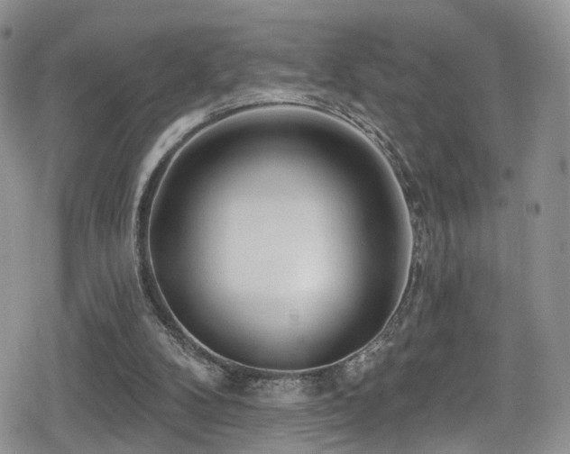 X0000080200104200612081437