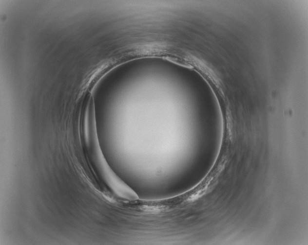 X0000080200105200612081437