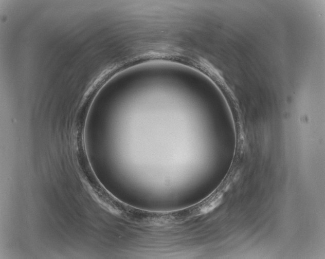 X0000080200106200612081437