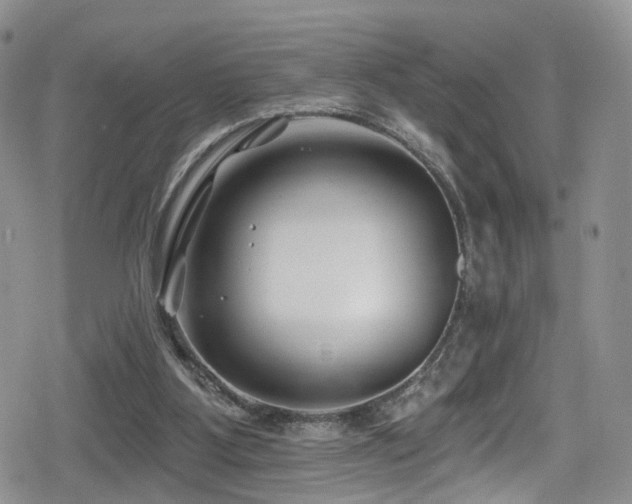 X0000080200107200612081437