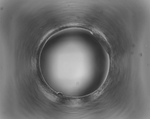 X0000080200108200612081437