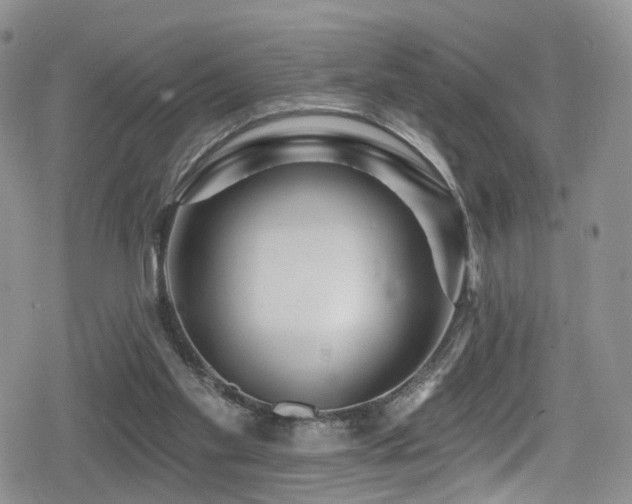 X0000080200109200612081437