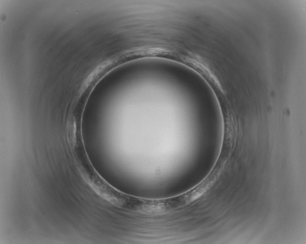 X0000080200110200612081437