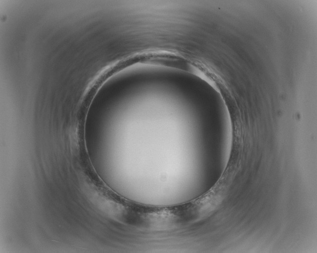 X0000080200112200612081437