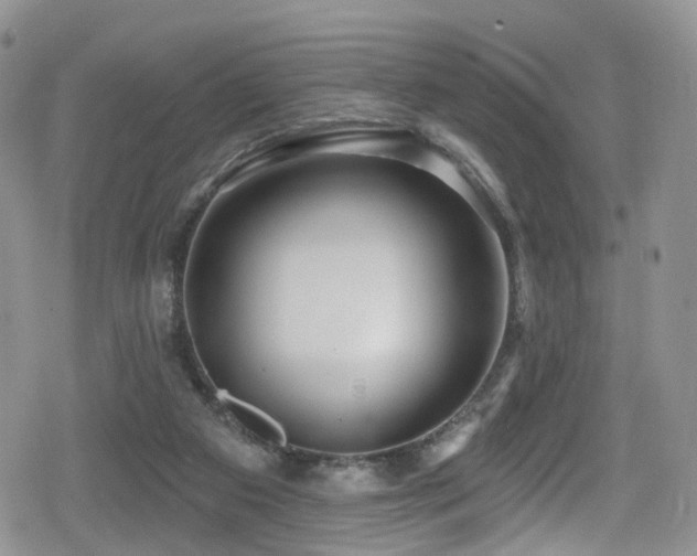 X0000080200113200612081437