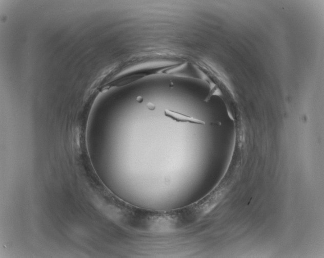 X0000080200115200612081437