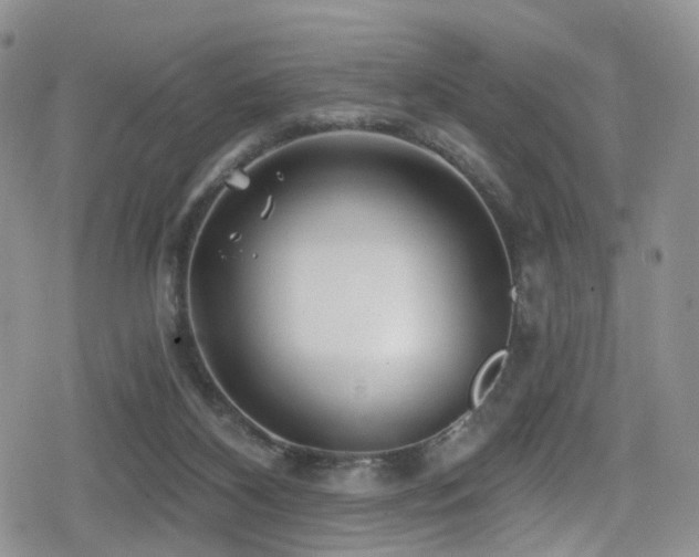 X0000080200116200612081437