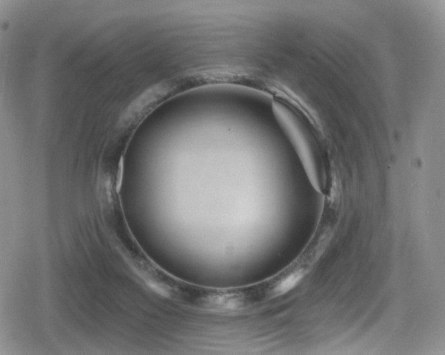 X0000080200117200612081437