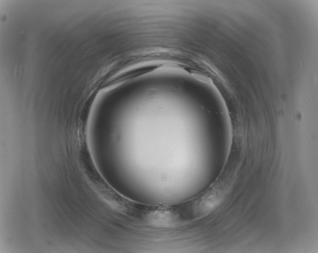 X0000080200119200612081437